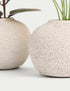 Marks & Spencer "Set of 2 Artificial Plants in Pots"
